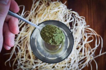 Rozhovor do Denik.cz o Kratomu v ČR
