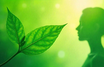 JAK KRATOM OVLIVŇUJE TĚLO A MYSL? VĚDECKÉ POZNATKY A ZKUŠENOSTI UŽIVATELŮ